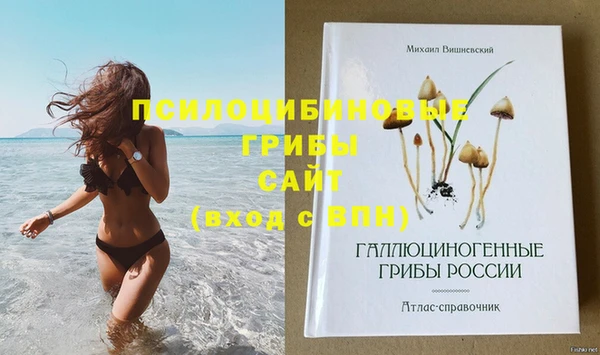 молекула духа Алексеевка